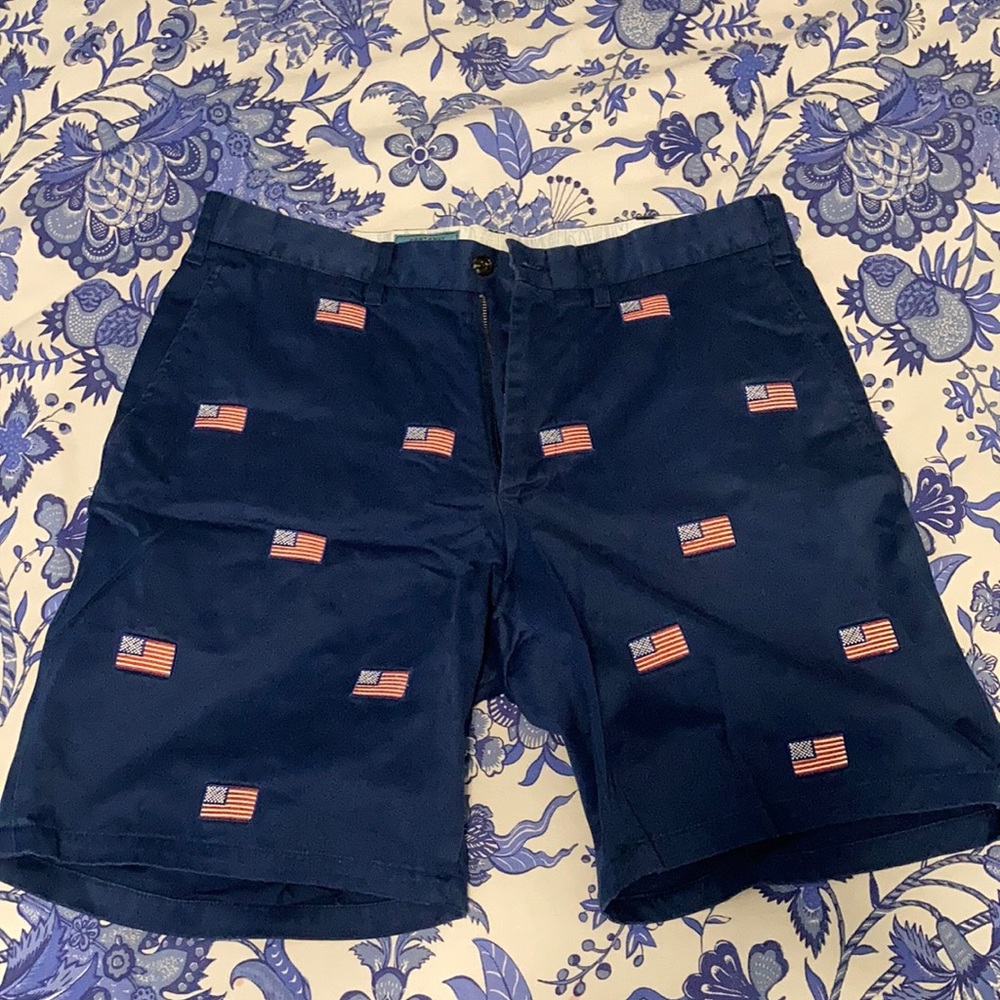 🇺🇸 Patriotic Embroidered USA flag shorts